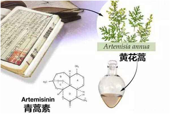 乐竞注册网(中国区)首页,：向中医药看齐，与世界共享中医药文化(图1)